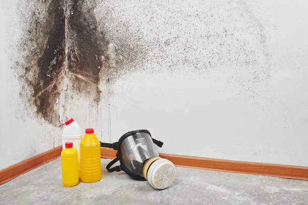 Best Emergency Mold Removal  in Mcguire Af, NJ