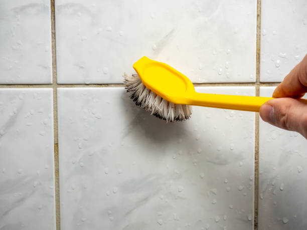 Best Certified Mold Removal  in Mcguire Af, NJ