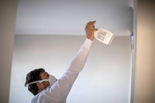 Best Certified Mold Removal  in Mcguire Af, NJ