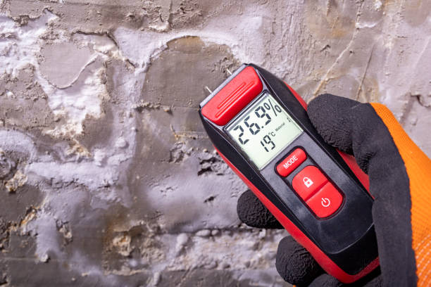 Best Local Mold Removal Service  in Mcguire Af, NJ