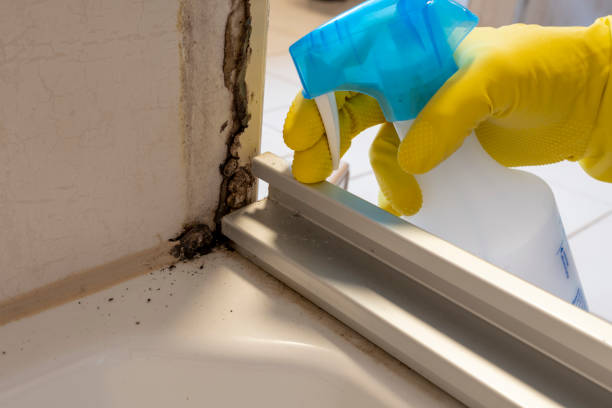 Best Mold Cleaning Services  in Mcguire Af, NJ
