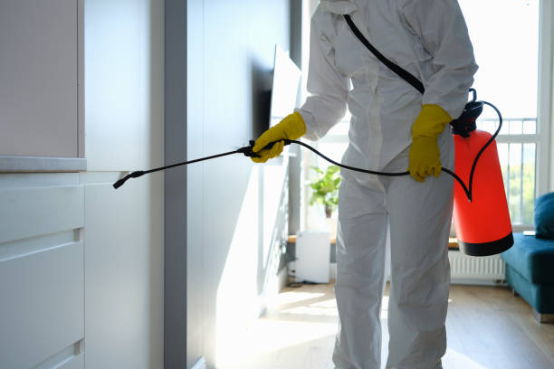Best Best Mold Removal Companies  in Mcguire Af, NJ
