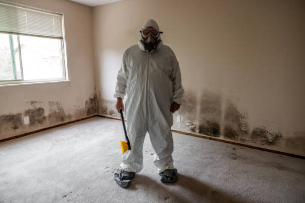 Best Office Mold Removal Services  in Mcguire Af, NJ
